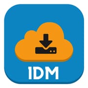 1DM