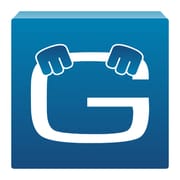 Geotab Drive