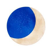 Luna Diary:Moon-Themed Journal