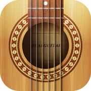 Real Guitar: acoustic electric