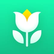 Plant Parent: Plant Care Guide