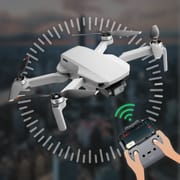 Fly Go for Drone models