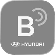 Hyundai Bluelink Europe (Old)