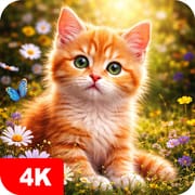Cat Wallpapers & Cute Kittens