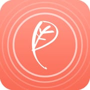 Beauty Meditation